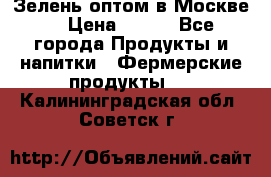 Зелень оптом в Москве. › Цена ­ 600 - Все города Продукты и напитки » Фермерские продукты   . Калининградская обл.,Советск г.